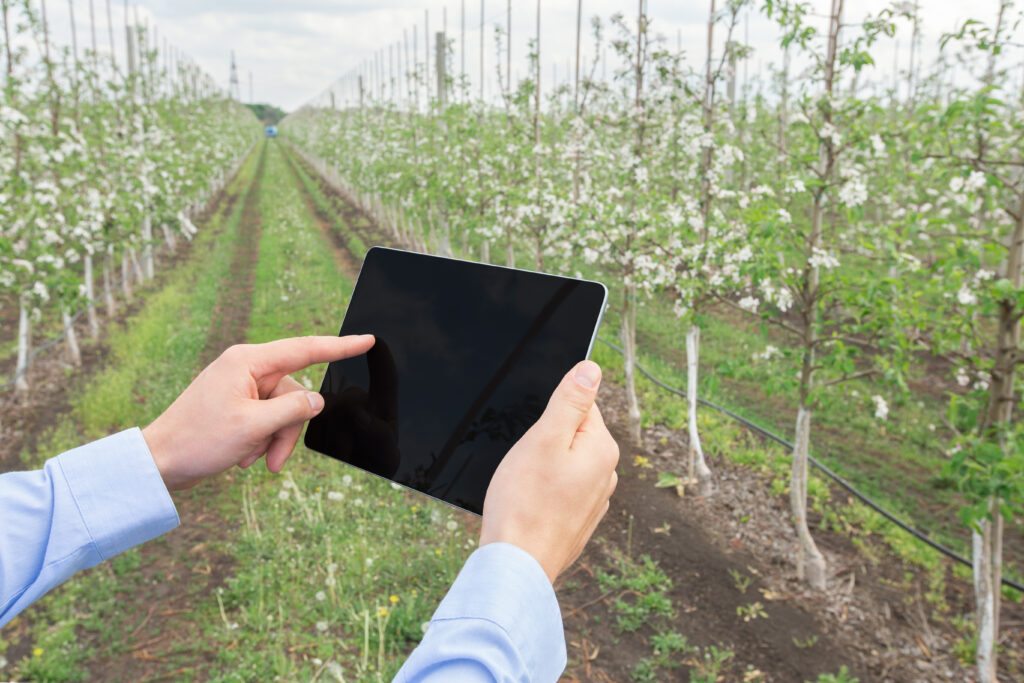 Gardena Hände die ein Tablet halten - dahinter eine Obstplantage
